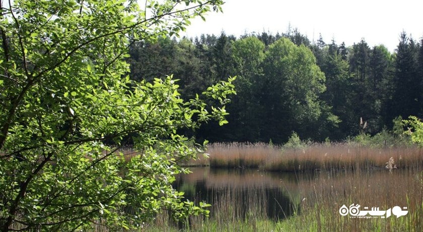  دریاچه وارنا شهر بلغارستان کشور وارنا