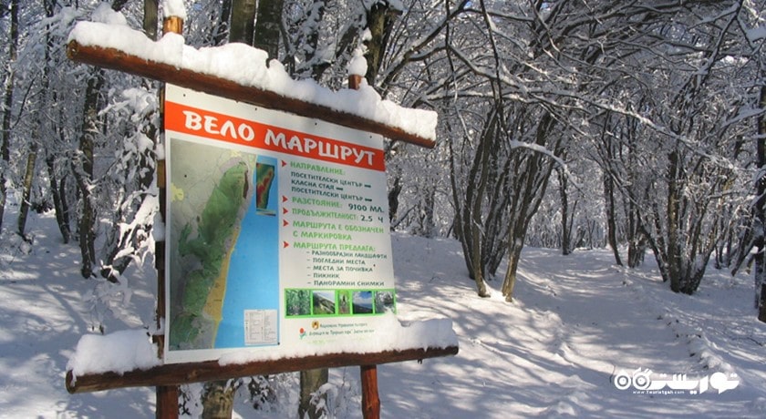 سرگرمی پارک طبیعت گلدن سندز شهر بلغارستان کشور وارنا