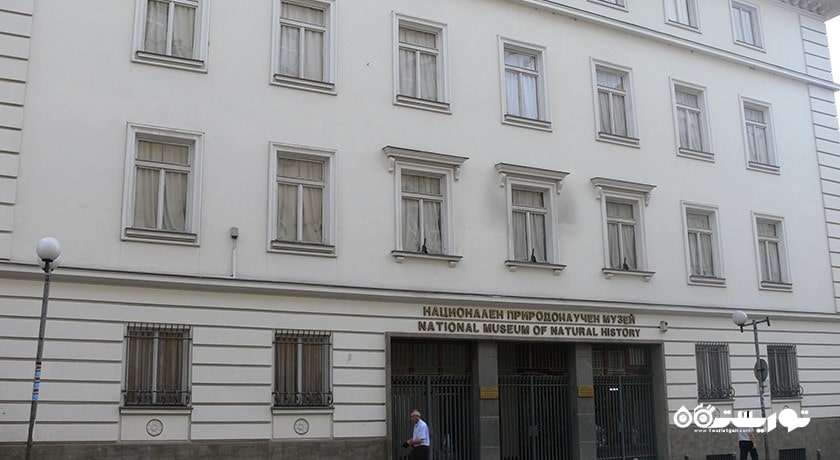  موزه تاریخ طبیعی شهر بلغارستان کشور وارنا