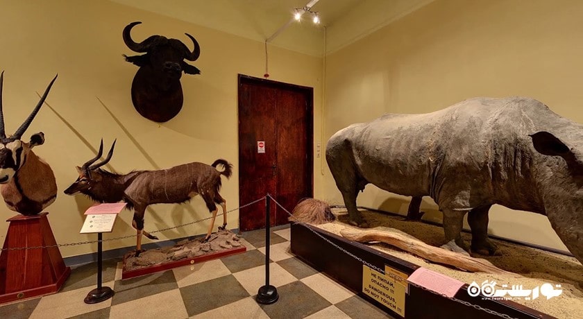  موزه تاریخ طبیعی شهر بلغارستان کشور وارنا