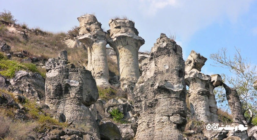  جنگل سنگی شهر بلغارستان کشور وارنا