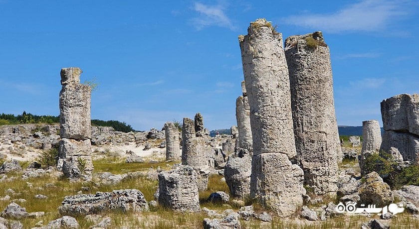  جنگل سنگی شهر بلغارستان کشور وارنا