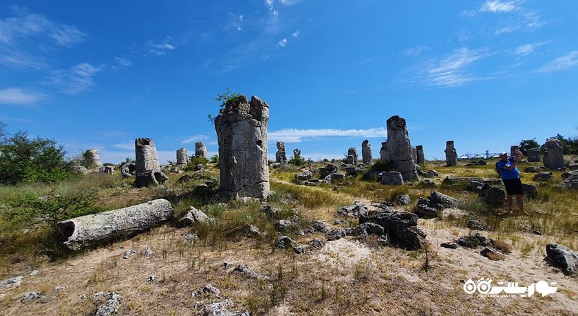  جنگل سنگی شهر بلغارستان کشور وارنا
