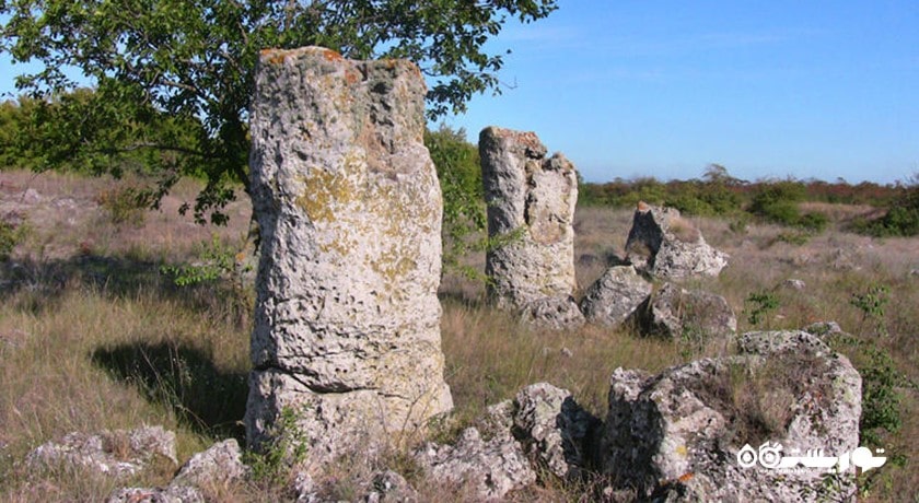  جنگل سنگی شهر بلغارستان کشور وارنا