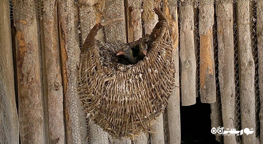  مجتمع باریت شهر بلغارستان کشور وارنا