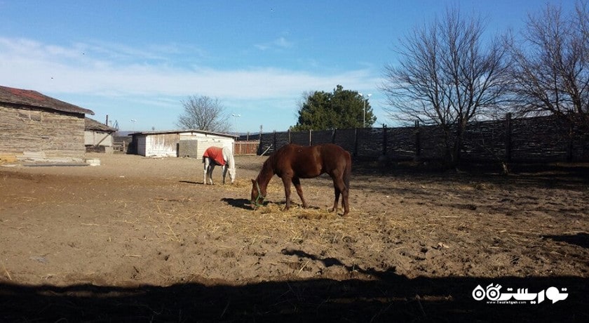 سرگرمی دهکده فاناگوریا شهر بلغارستان کشور وارنا