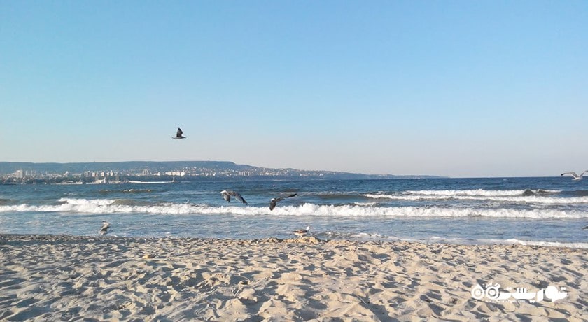 سرگرمی ساحل آسپاروهوو شهر بلغارستان کشور وارنا