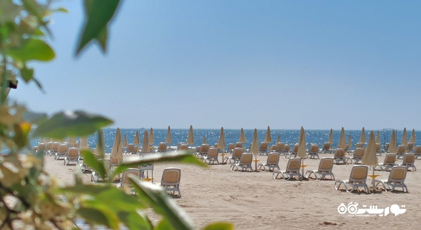 سرگرمی ساحل آلبنا شهر بلغارستان کشور وارنا