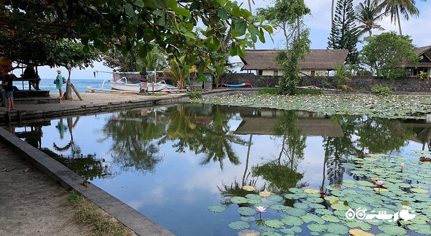  جاده رایا کاندیداسا شهر اندونزی کشور بالی