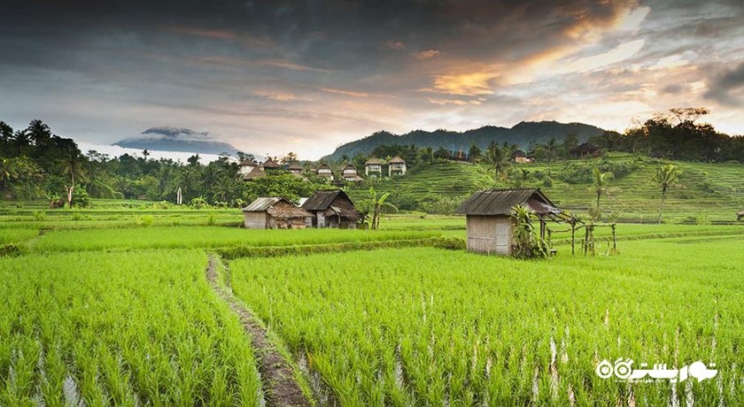  دهکده سیدمن شهر اندونزی کشور بالی