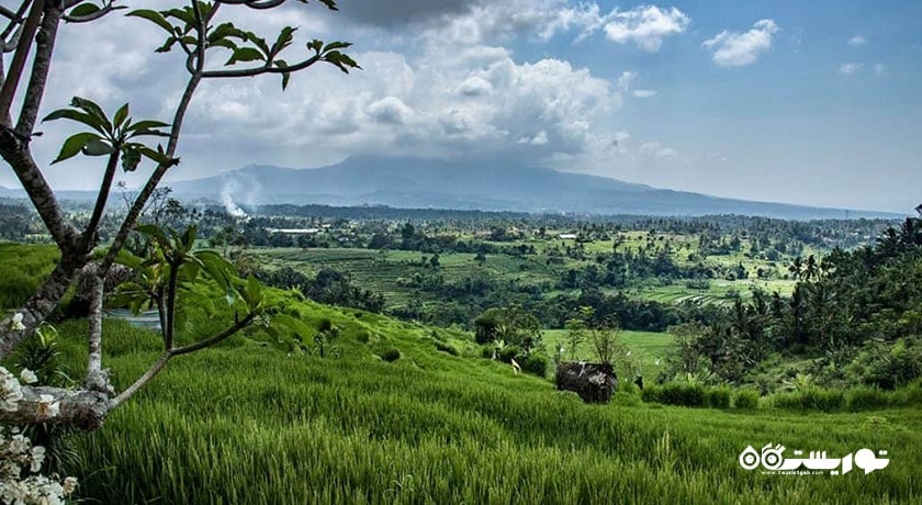  دهکده سیدمن شهر اندونزی کشور بالی