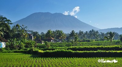 کوه آگونگ -  شهر بالی