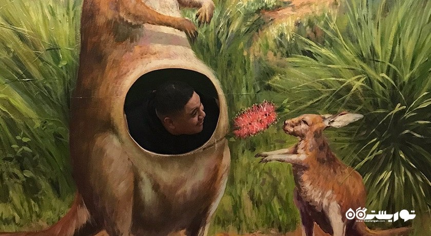  موزه منطقه رویا شهر اندونزی کشور بالی