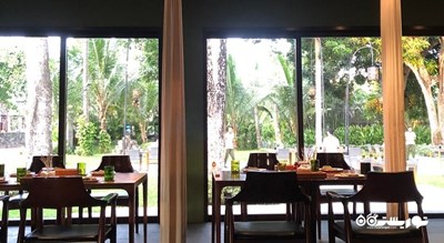رستوران رستوران کوکا شهر بالی 