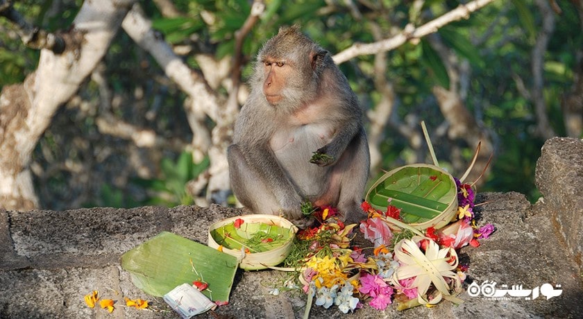  معبد اولوواتو شهر اندونزی کشور بالی