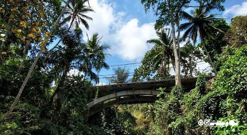  معبد گونونگ لبا شهر اندونزی کشور بالی