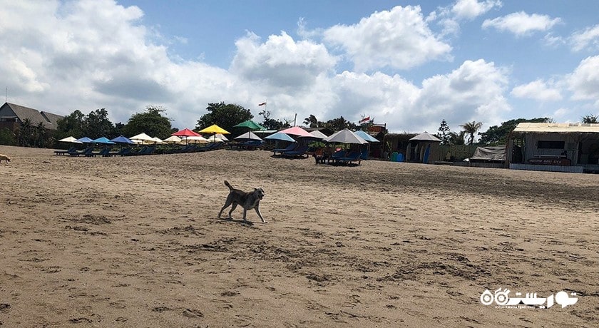 سرگرمی ساحل براوا شهر اندونزی کشور بالی