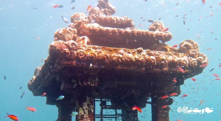  گالری زیر آب خلیج جملوک شهر اندونزی کشور بالی