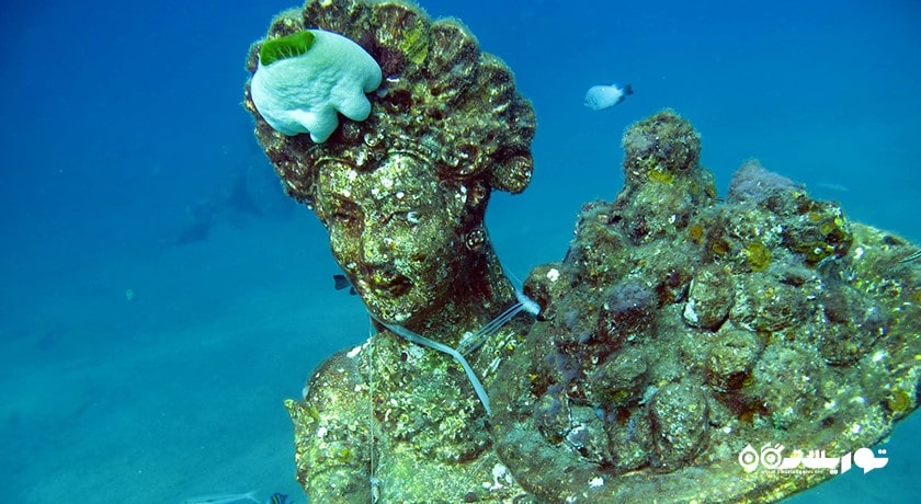  گالری زیر آب خلیج جملوک شهر اندونزی کشور بالی