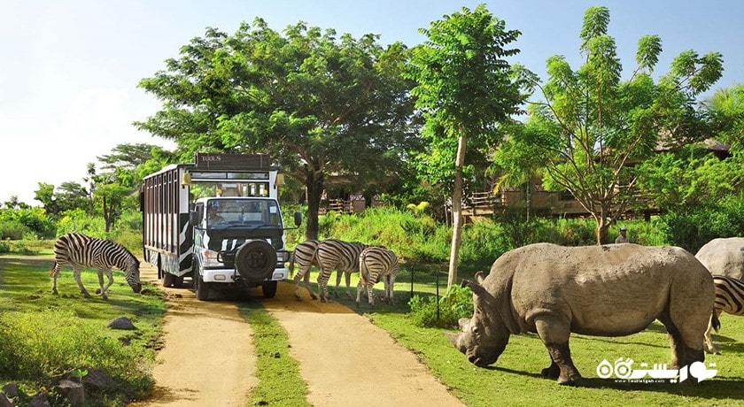  تراس های برنج تگالالانگ شهر اندونزی کشور بالی