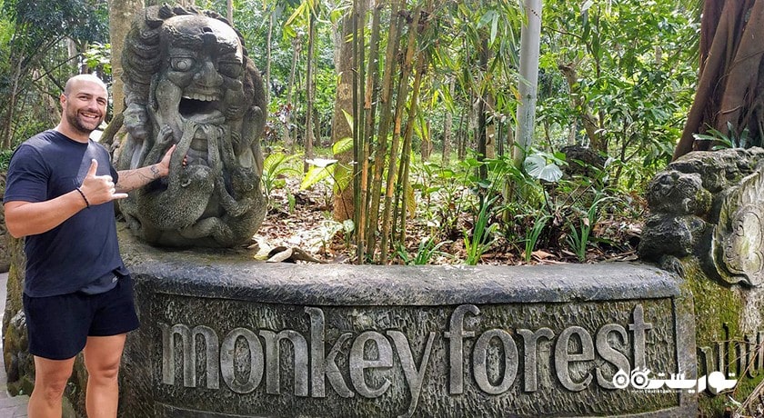  جنگل میمون های اوبود شهر اندونزی کشور بالی