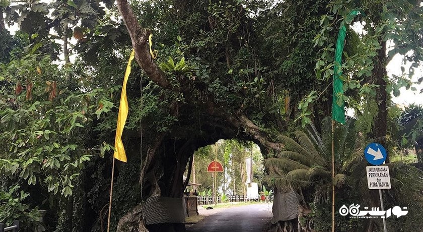  بونوت بولونگ در جمبرانا شهر اندونزی کشور بالی