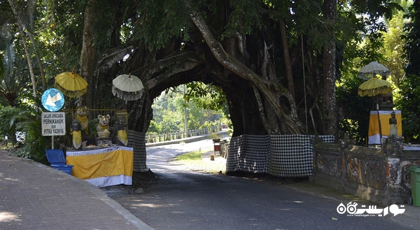  بونوت بولونگ در جمبرانا شهر اندونزی کشور بالی