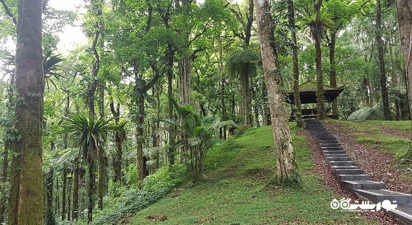  باغ گیاه شناسی بالی شهر اندونزی کشور بالی