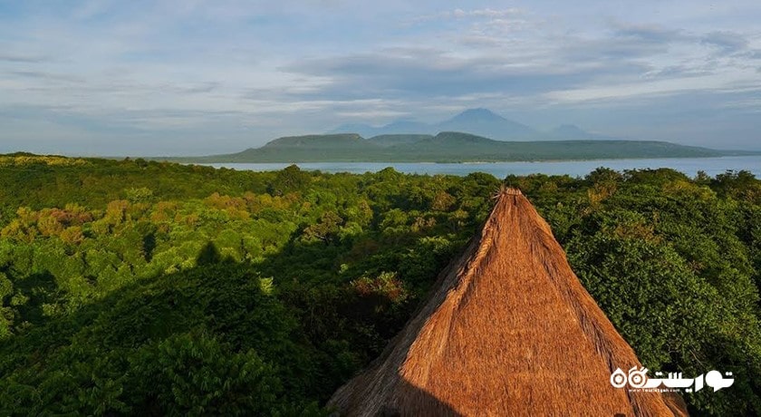  پارک ملی بالی غربی شهر اندونزی کشور بالی
