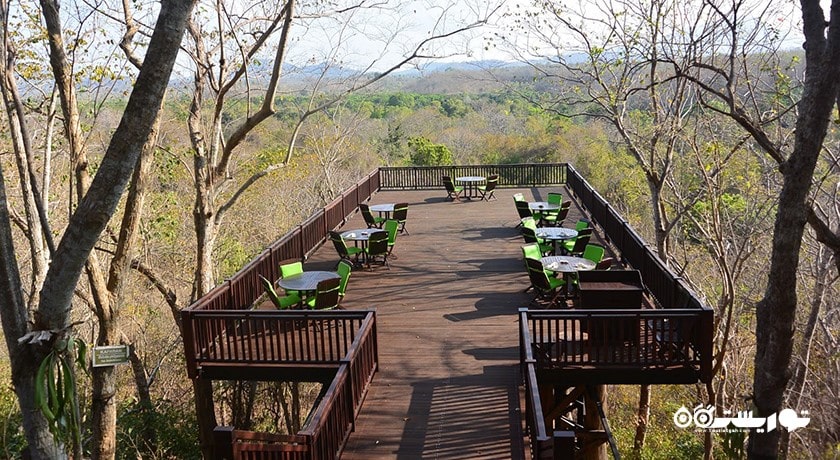  پارک ملی بالی غربی شهر اندونزی کشور بالی