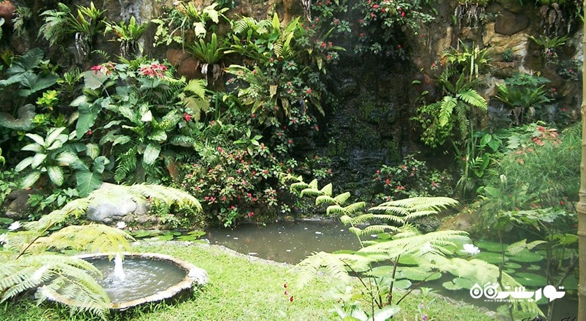  پارک پروانه بالی شهر اندونزی کشور بالی