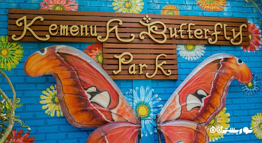  پارک پروانه کمنو بالی شهر اندونزی کشور بالی