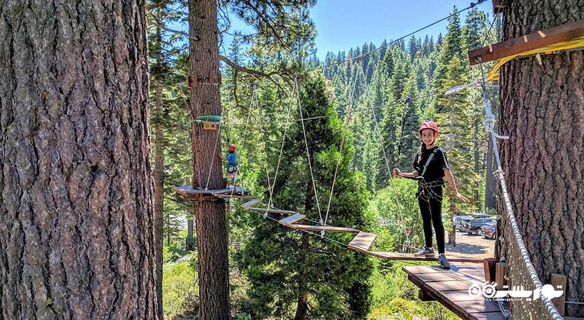  پارک ماجراجویی بالی تری تاپ شهر اندونزی کشور بالی