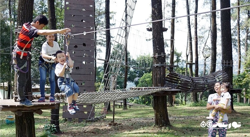  پارک ماجراجویی بالی تری تاپ شهر اندونزی کشور بالی