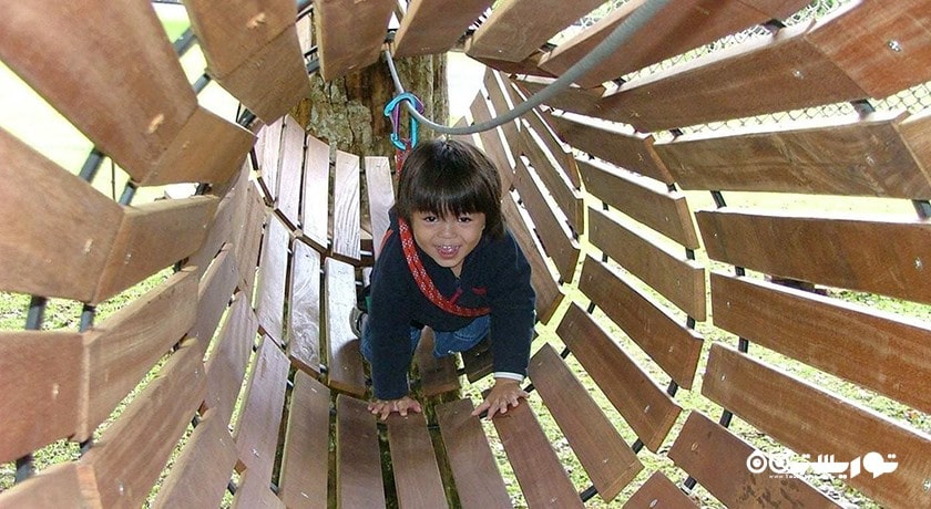  پارک ماجراجویی بالی تری تاپ شهر اندونزی کشور بالی