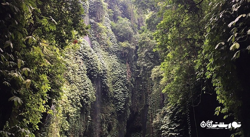  آبشار سکومپول شهر اندونزی کشور بالی