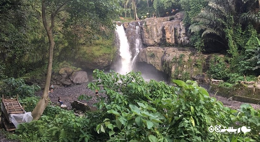  آبشار تگنونگان شهر اندونزی کشور بالی