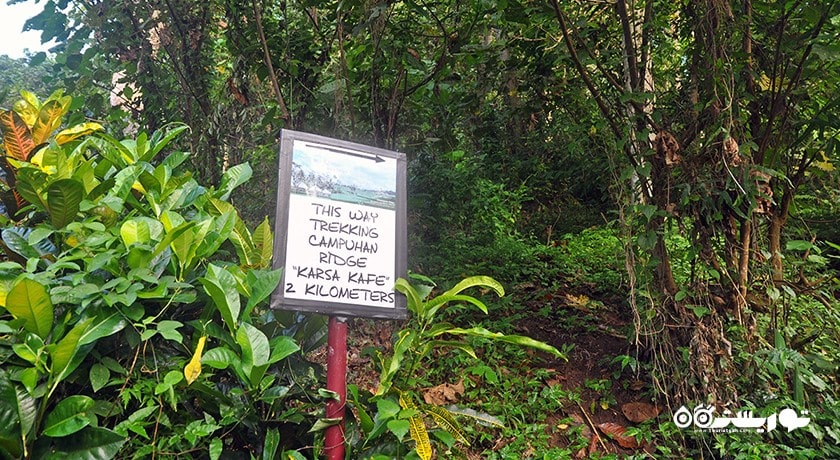 سرگرمی مسیر پیاده روی در تپه کامپوهان شهر اندونزی کشور بالی