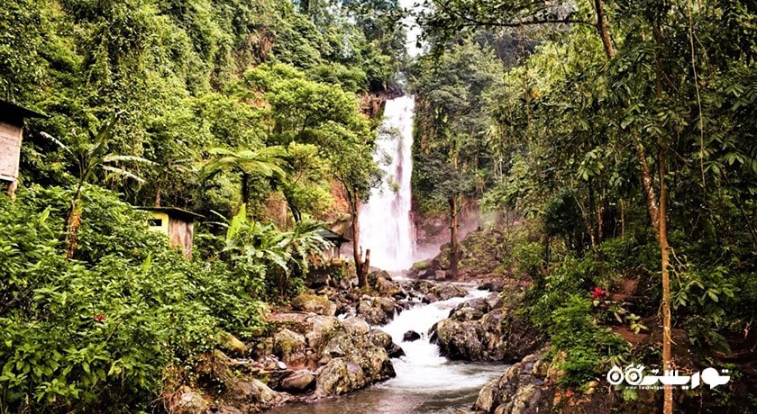  آبشار گیتگیت شهر اندونزی کشور بالی