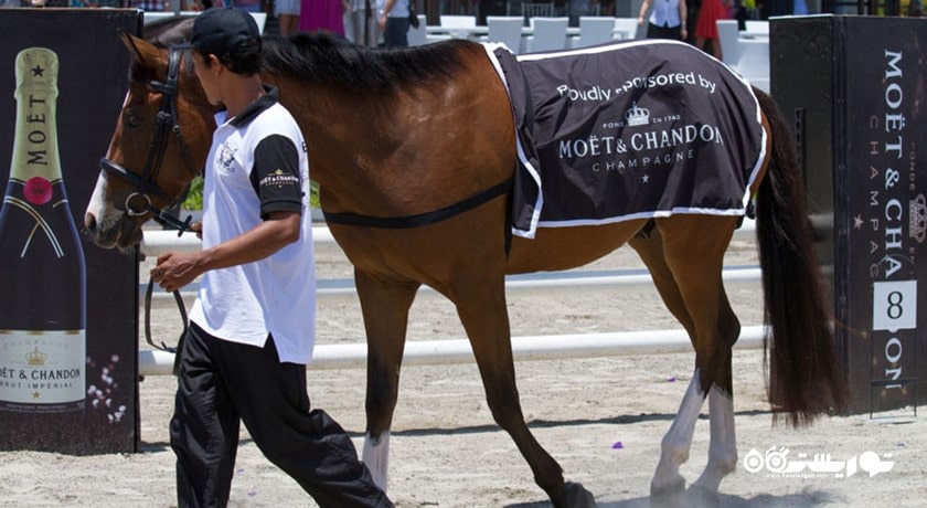 اسب سواری در بالی -  شهر بالی