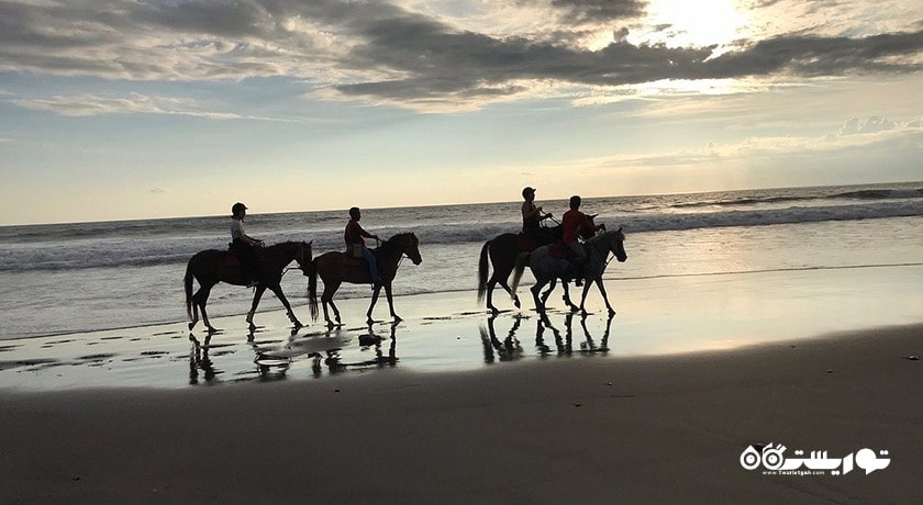 سرگرمی اسب سواری در بالی شهر اندونزی کشور بالی