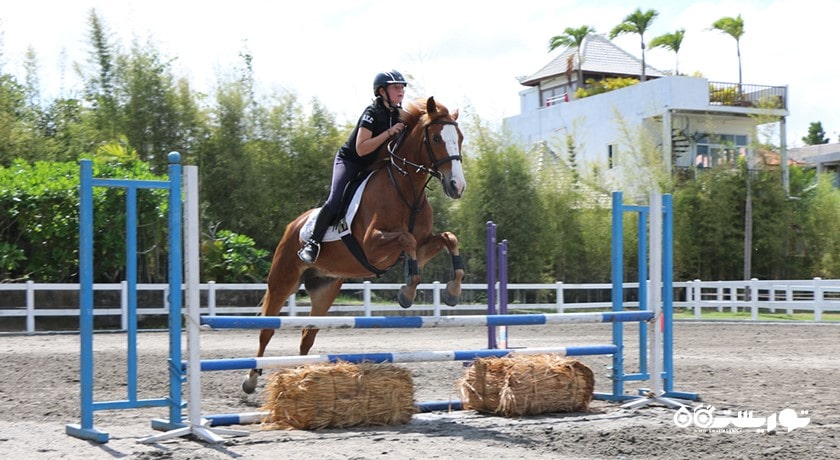سرگرمی اسب سواری در بالی شهر اندونزی کشور بالی