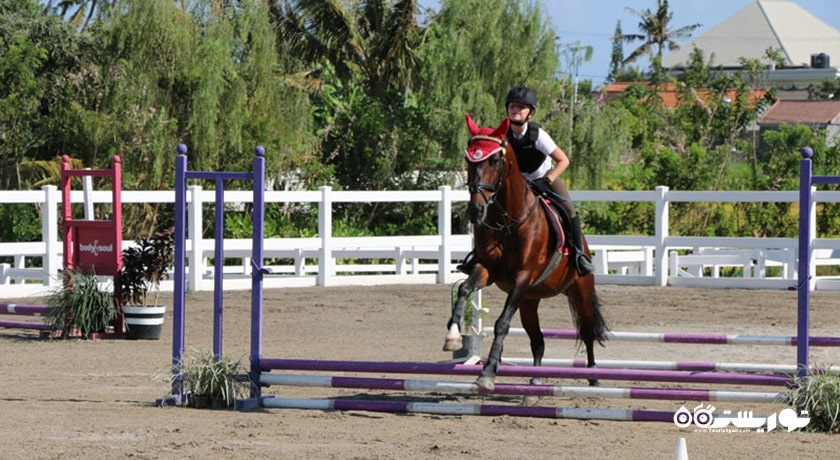 سرگرمی اسب سواری در بالی شهر اندونزی کشور بالی