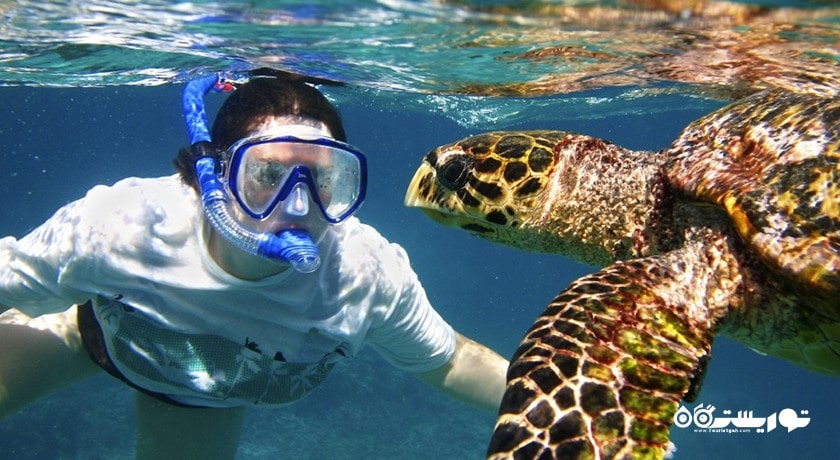 سرگرمی غواصی بدون تجهیزات در بالی شهر اندونزی کشور بالی