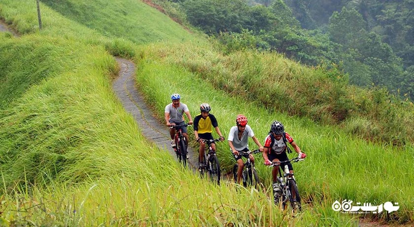 سرگرمی دوچرخه سواری در بالی شهر اندونزی کشور بالی