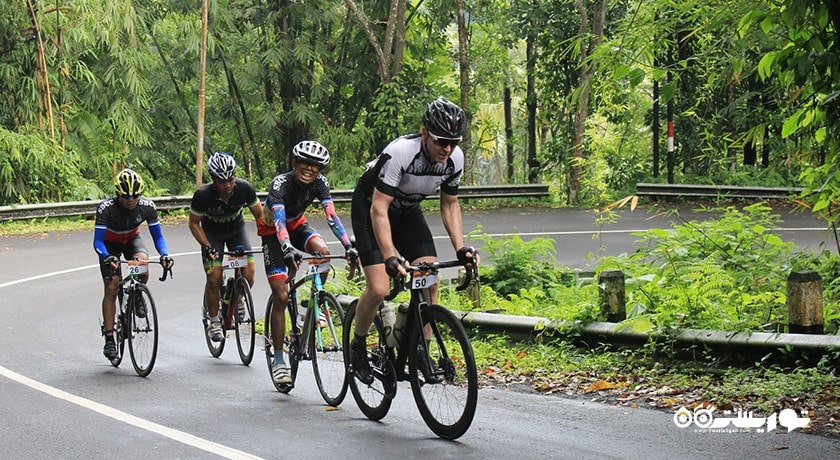 سرگرمی دوچرخه سواری در بالی شهر اندونزی کشور بالی
