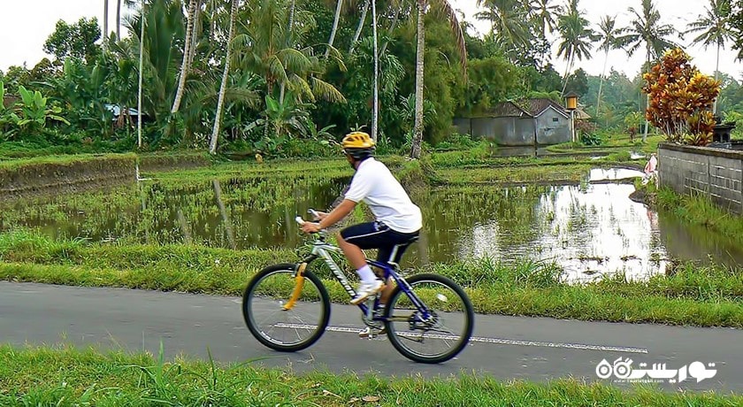 سرگرمی دوچرخه سواری در بالی شهر اندونزی کشور بالی