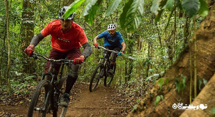 سرگرمی دوچرخه سواری در بالی شهر اندونزی کشور بالی