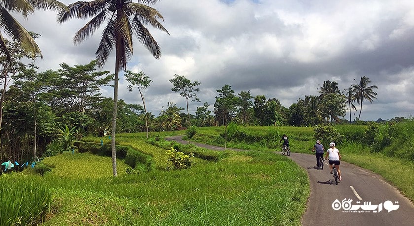 سرگرمی دوچرخه سواری در بالی شهر اندونزی کشور بالی