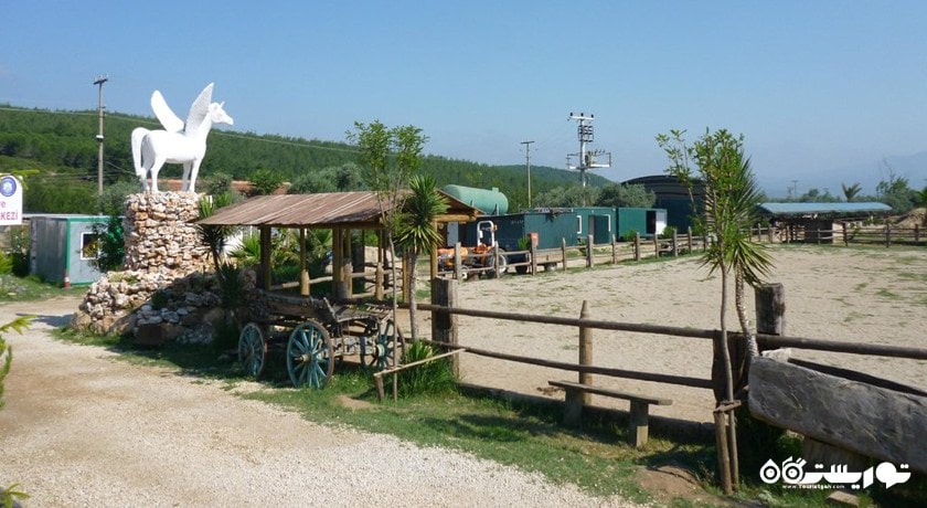 سرگرمی اسب سواری در کوش آداسی شهر ترکیه کشور کوش آداسی